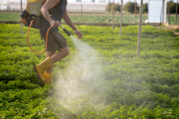 Best Ant Control Services  in Newport, KY